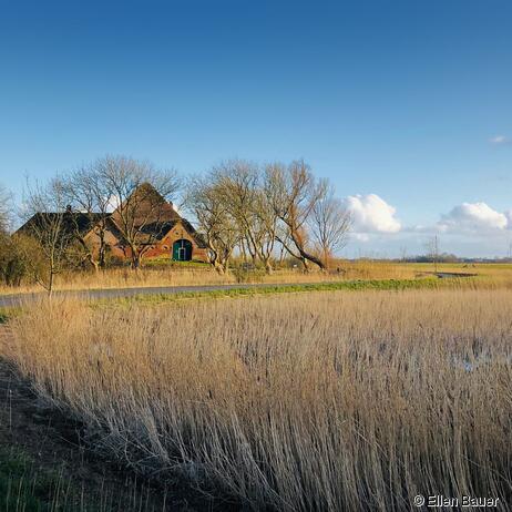Reetfleth Friddenbüll mit Haubarg Marschkoog, Tetenbüll